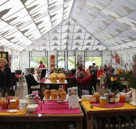 Hébergement de vacances Gemuetliches Casa Pepe Guía de Isora